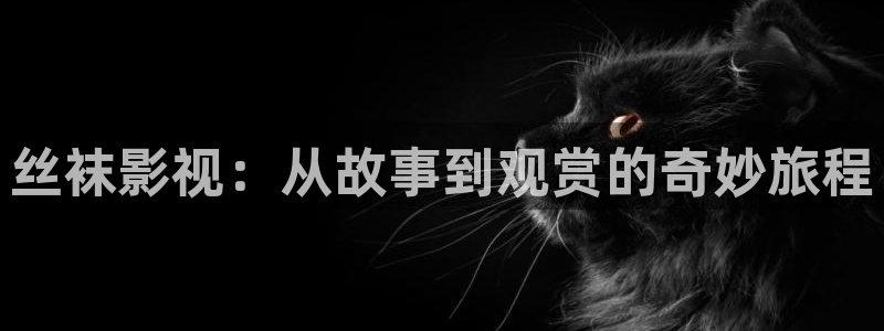 秋霞伦理影院在线