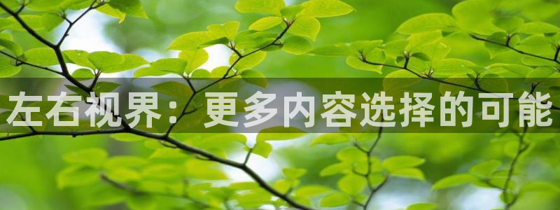 秋霞电影网yy
