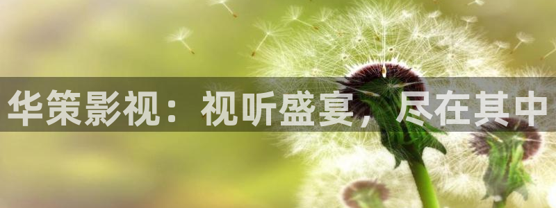 秋霞影院被窝影院在线播放
