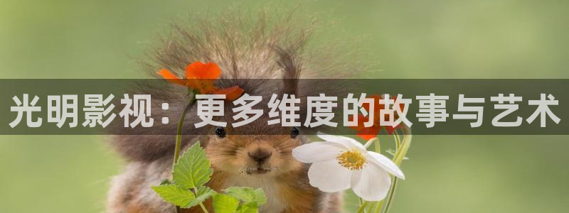 秋霞网一级电影