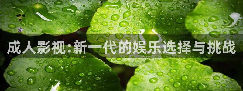 秋霞网日本韩国