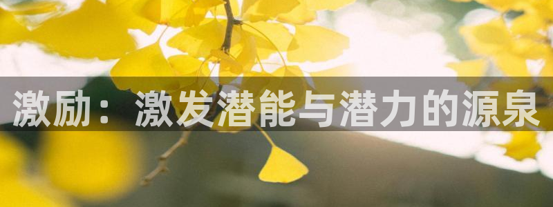 秋霞国产伦理片：激励：激发潜能与潜力的源泉