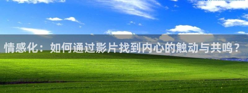 一秋霞电影网：情感化：如何通过影片找到内心的触动与共鸣？