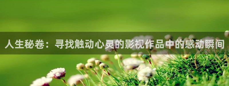 秋霞伦理片高清：人生秘卷：寻找触动心灵的影视作品中的感动瞬间