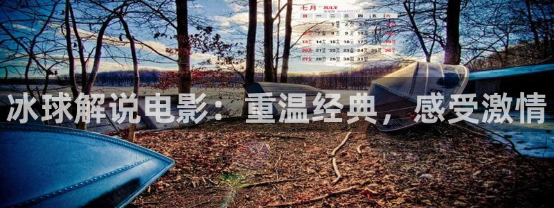 秋霞网神马影院：冰球解说电影：重温经典，感受激情