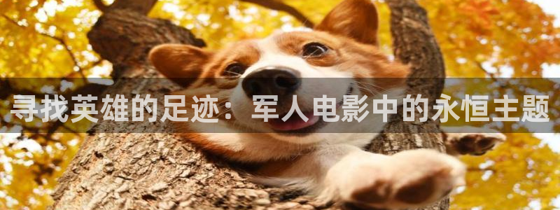 秋霞影院一区：寻找英雄的足迹：军人电影中的永恒主题
