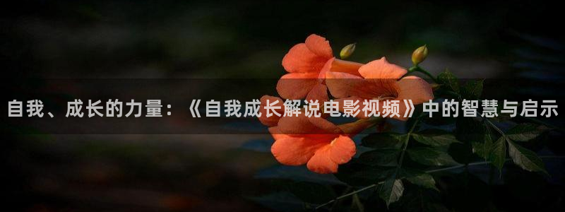 午夜秋霞伦理片：自我、成长的力量：《自我成长解说电影视频》中的智慧与启示