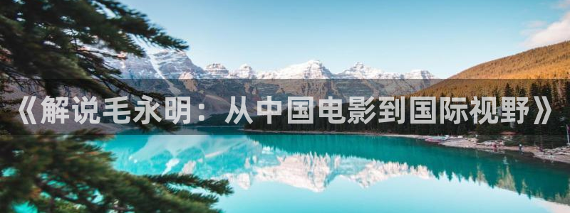秋霞免费的电影：《解说毛永明：从中国电影到国际视野》