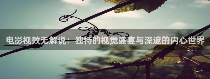 80s电影秋霞网：电影视效无解说：独特的视觉盛宴与深邃的内心世界