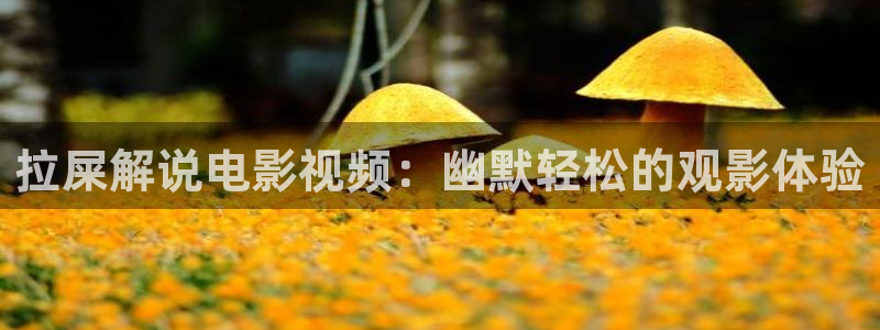 奇米影视第四色狠狠干7777秋霞：拉屎解说电影视频：幽默轻松的观影体验