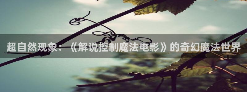 秋霞手机免费电影