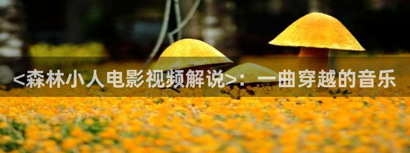 秋霞av影音：<森林小人电影视频解说>：一曲穿越的音乐