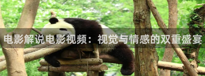 8秋霞：电影解说电影视频：视觉与情感的双重盛宴