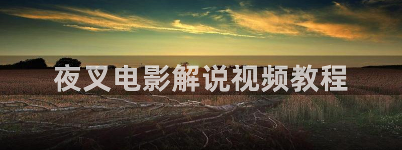 秋霞影院在线观：夜叉电影解说视频教程
