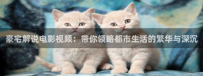 秋霞电影网手机版p：豪宅解说电影视频：带你领略都市生活的繁华与深沉