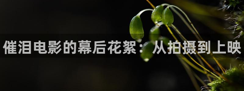 秋霞影视高清在线观看：催泪电影的幕后花絮：从拍摄到上映