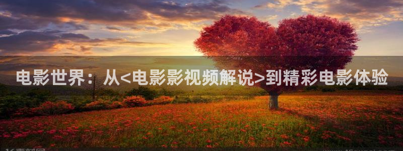 秋霞在线理论电影：电影世界：从<电影影视频解说>到精彩电影体验