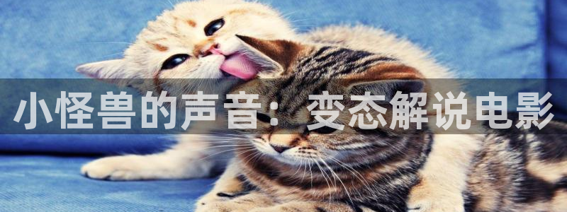 秋霞私人影视：小怪兽的声音：变态解说电影