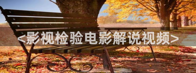 秋霞韩国片：<影视检验电影解说视频>