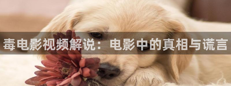 秋霞嫂子网：毒电影视频解说：电影中的真相与谎言