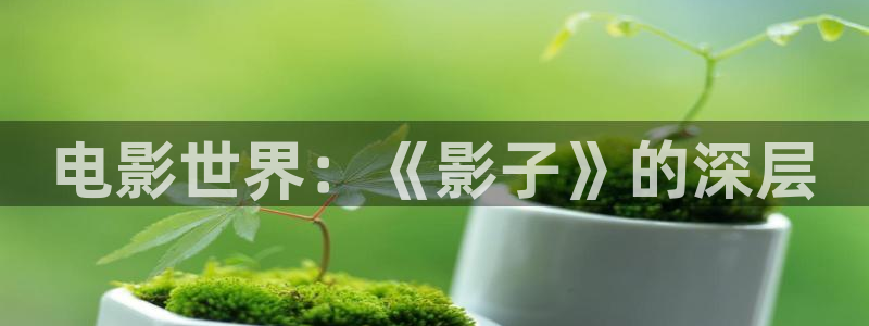秋霞精品：电影世界：《影子》的深层