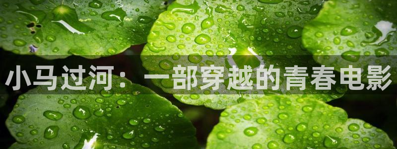 秋霞先锋资源网：小马过河：一部穿越的青春电影