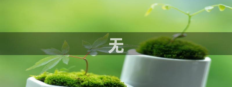 秋霞电影网亚洲：无