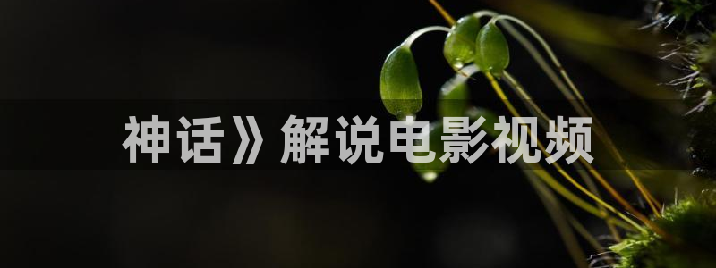 秋霞电影新入口：神话》解说电影视频