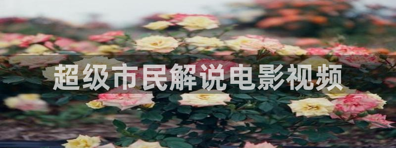 77秋霞网：超级市民解说电影视频