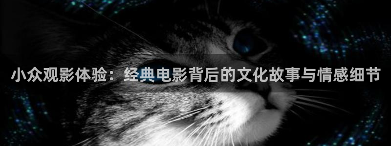 秋霞电影免费电影：小众观影体验：经典电影背后的文化故事与情感细节