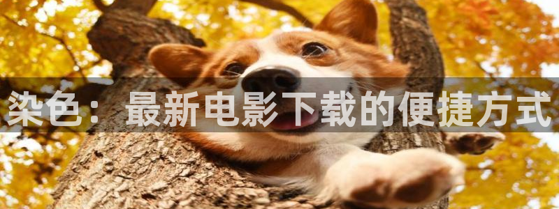 神马影院秋霞在线观看：染色：最新电影下载的便捷方式