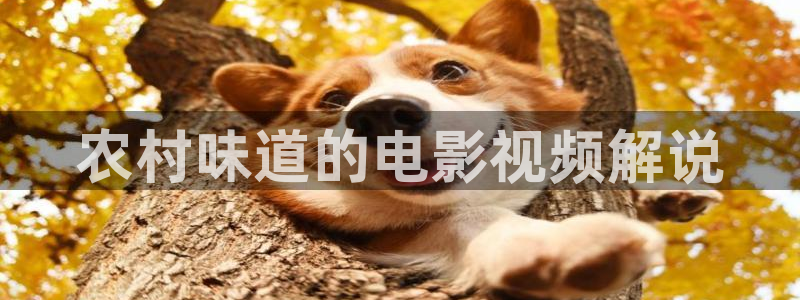 秋霞电影免费观看：农村味道的电影视频解说