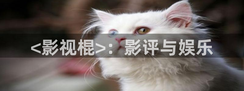 秋霞电影网鲁丝片国产：<影视棍>：影评与娱乐