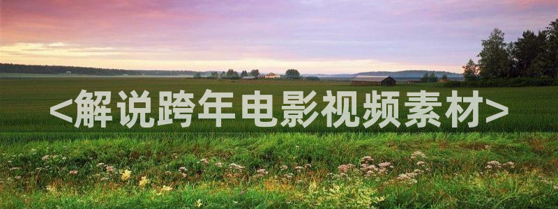秋霞网a级：<解说跨年电影视频素材>