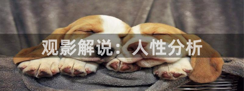秋霞电影院午夜伦片：观影解说：人性分析