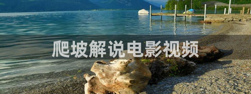 秋霞 电影网：爬坡解说电影视频