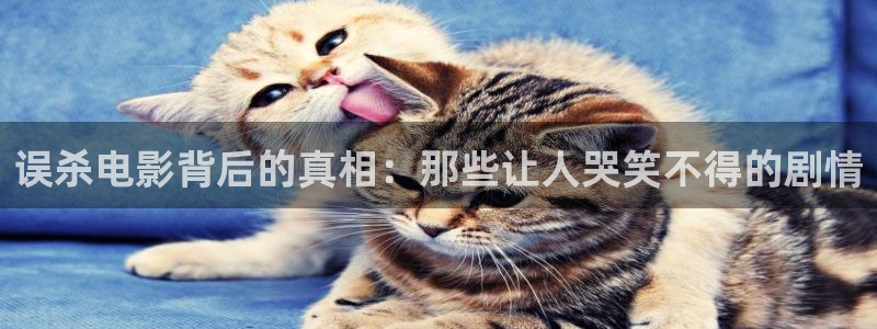 秋霞特色大片18岁入口：误杀电影背后的真相：那些让人哭笑不得的剧情