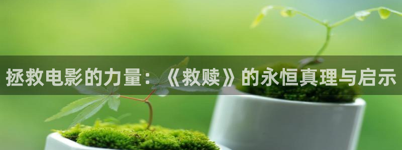 ,秋霞：拯救电影的力量：《救赎》的永恒真理与启示