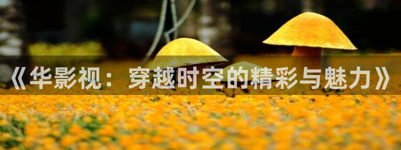 新秋霞韩国免费电影：《华影视：穿越时空的精彩与魅力》