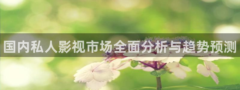 秋霞电影网久：国内私人影视市场全面分析与趋势预测