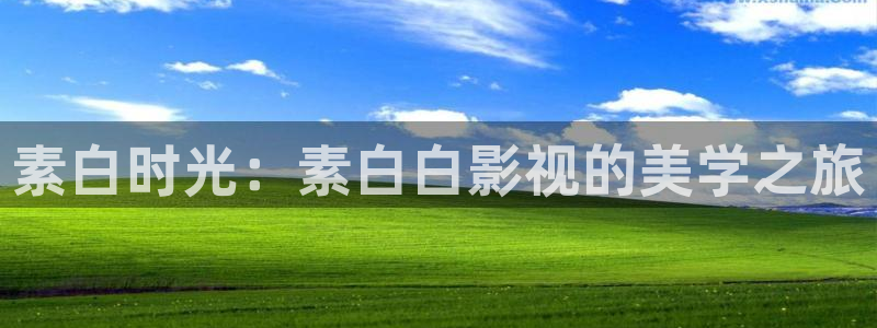 秋霞在线观看网