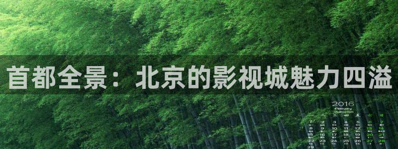 秋霞神马影院在线观看