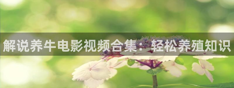 秋霞影院电视剧在线观看全集