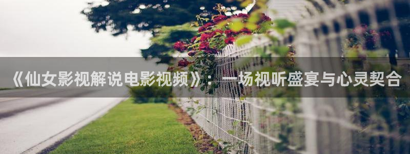 秋霞电影秋霞