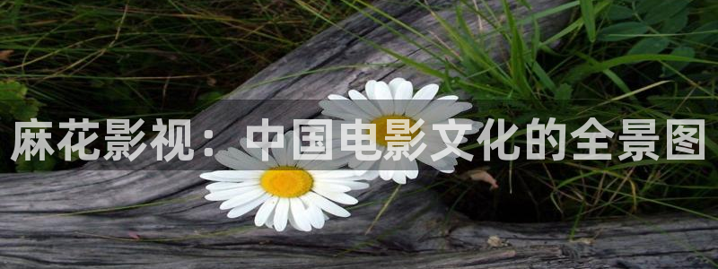 秋霞影院午夜伦免费观看
